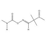 S-195 | Aldicarb Sulfoxide 1000 ug mL