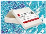 CANDIDA ALBICANS Cntrls /Pk(25)