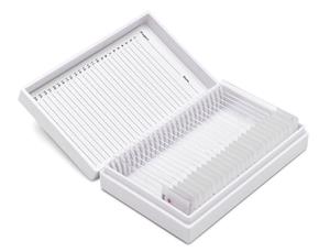 CS-FUNGUS/PAS/25 | Slides Tissue Control Fungus PAS 25/pkg