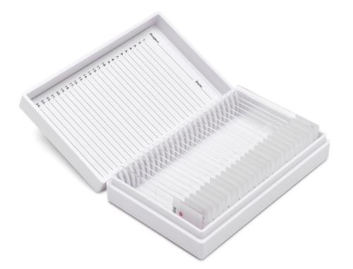 HERPES Type II Controls /Pk(25)