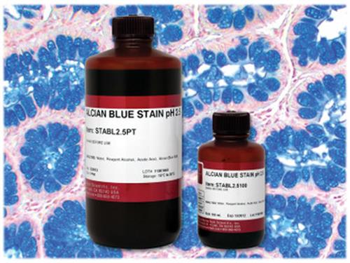 STABL2.5PT | Alcian Blue Stain, Ph 2.5, Pint