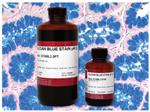 STABL2.5PT | Alcian Blue Stain, Ph 2.5, Pint