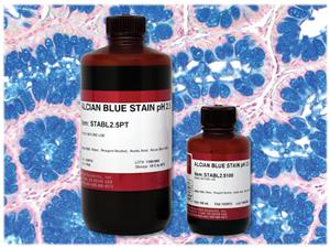 STABL2.5PT | ALCIAN BLUE STAIN, pH 2.5 /Pint