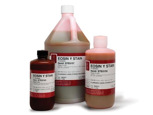 EOSIN Y STAIN,MasterTech /Gallon