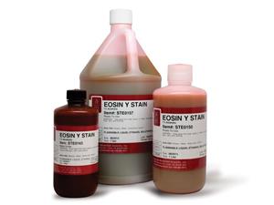 STE0157 | EOSIN Y STAIN,MasterTech /Gallon