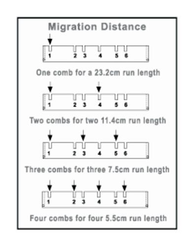 A2-RL-18D | A2 RAPID LOAD 18 WELL COMB