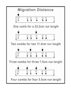 A2-RL-18D | A2 RAPID LOAD 18 WELL COMB
