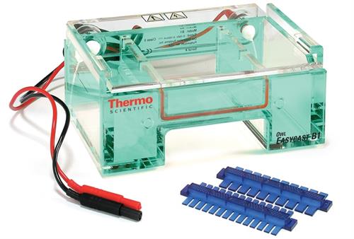 B1 | Owl Minigel System 9 x 11 cm