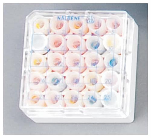 CS509X4 | CRYO VIAL BOXES 81 VIALS