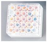 CS509X4 | CRYO VIAL BOXES 81 VIALS