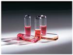 AY759X4 | Thermo Scientific Biological Indicator 100 vials b