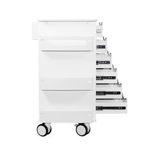 53463 | Core 6D Cart with White Drawers