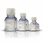 UASBETA-GLUC-50 | 50ml Ultra Beta Glucuronidase Enzyme abalonase liq