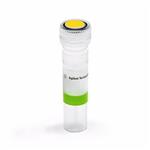 5067-1535 | RNA 6000 Pico ladder