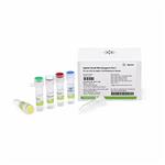 5067-1549 | Small RNA reagents