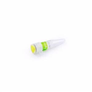 5067-1550 | Small RNA ladder. For high sensitivity analysis