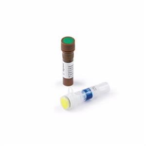 5067-5583 | D1000 Reagents containing Sample Buffer and
