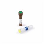5067-5583 | D1000 Reagents containing Sample Buffer and