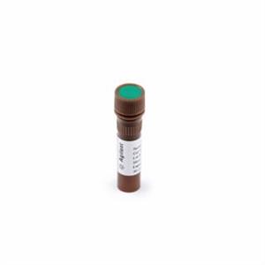 5067-5603 | High Sensitivity D1000 Sample Buffer part of the
