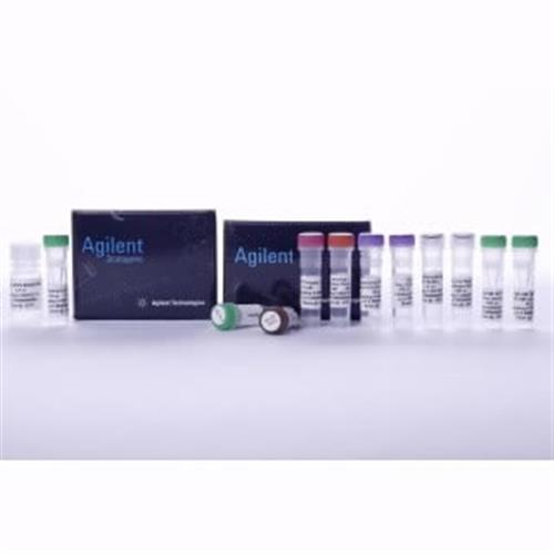 600036 | miRNA 1stStrand Synthesis kit 50x20ulrxn