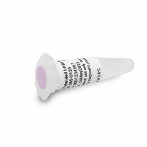 DNF-365-U125 | HS Extended Large Frag DNA Ladder 125uL