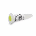DNF-396-U100 | High Sensitivity NGS Fragment DNA Ladder 100uL