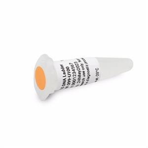 DNF-399-U100 | NGS DNA Ladder 100uL