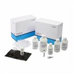 DNF-467-0500 | Genomic DNA 50kb Kit 500