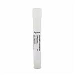FP-8001-0003 | FP gDNA Diluent Marker 3mL