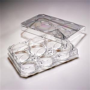 CC7682-7506 | CytoOne 6 wl TC plt