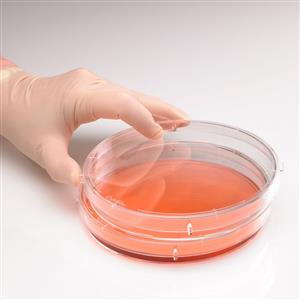 CC7682-3614 | CytoOne 150 x 20 mm TC dish