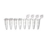 1402-2900 | .2ml PCR 8tube strip indiv dome caps nat