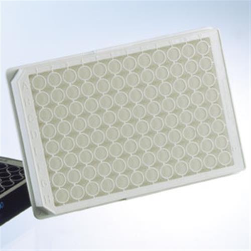 5665-5074 | 96 well LUMITRAC 600 white immunology plate