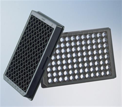 5665-5097 | 96 well FLUOTRAC 600 clear flat bottom black plate