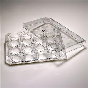 CC7682-7512 | CytoOne 12 wl TC plt