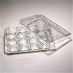 CC7682-7512 | CytoOne 12 wl TC plt