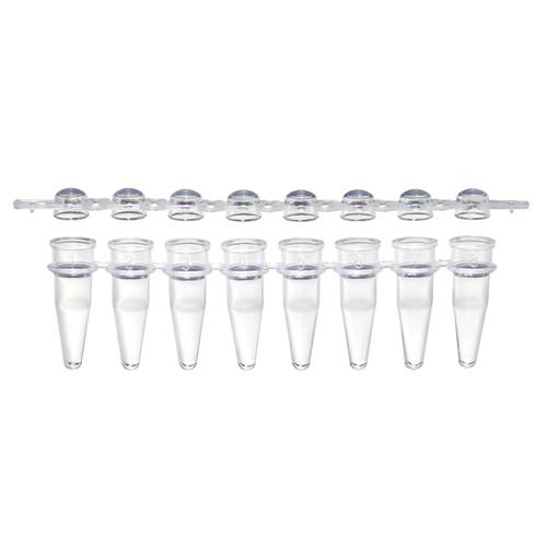 1402-4702 | 0.2 mL PCR 8 tube FLEX FREE strip attached clear f