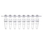 1402-4702 | 0.2 mL PCR 8 tube FLEX FREE strip attached clear f
