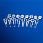 1402-3900 | 0.2 mL PCR 8 tube with attached clear flat caps na