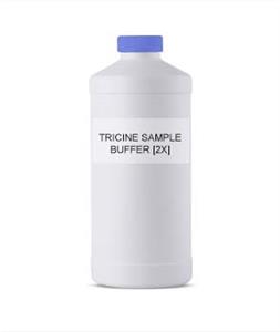 10424-1 | Tricine Sample Buffer [2X], 50 mL