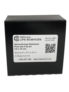 10631-1 | Nitrocellulose Membrane, pore size 0.22µm, 10 x 10cm