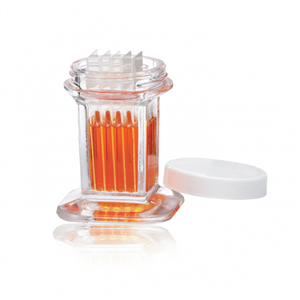 900520 | 10 Slide Staining Jar With Wht PP Cap