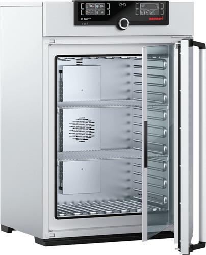 IF160 PLUS 230V | 161L Incubator forced air PLUS