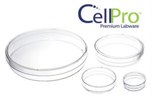 TL41 | 6 Well Cell Culture plate. Flat, ULTRA LOW ADHESION, Sterile, 1/pk, 50/cs