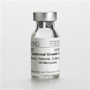 354001 | Corning® Epidermal Growth Factor (EGF), Mouse Natural (Culture Grade), 100µg, 1/Pack