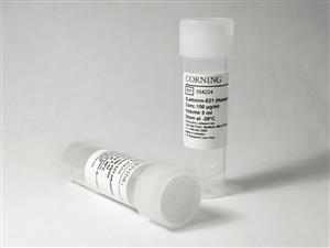 354224 | Corning® rLaminin-521, Human, 500µg Vial
