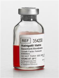 354230 | Corning® Matrigel® Growth Factor Reduced (GFR) Basement Membrane Matrix, LDEV-free, 10 mL