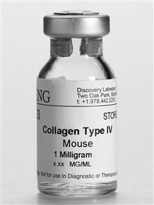 354233 | Corning® Collagen IV, Mouse, 1 mg