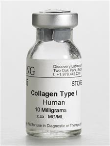 354243 | Corning® Collagen I, Human, 0.25 mg