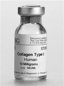 354265 | Corning® Collagen I, Human, 10 mg